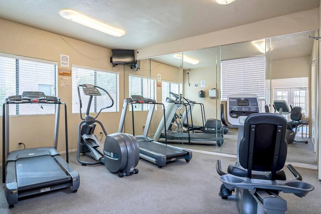 Apartment Bright & Cozy 1bd Near Uofa, Umc W Pool, Parking - Summer Rates! *