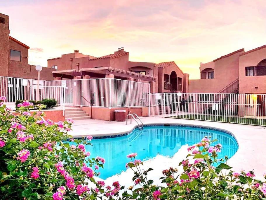 Bright & Cozy 1bd Near Uofa, Umc W Pool, Parking - Summer Rates! *