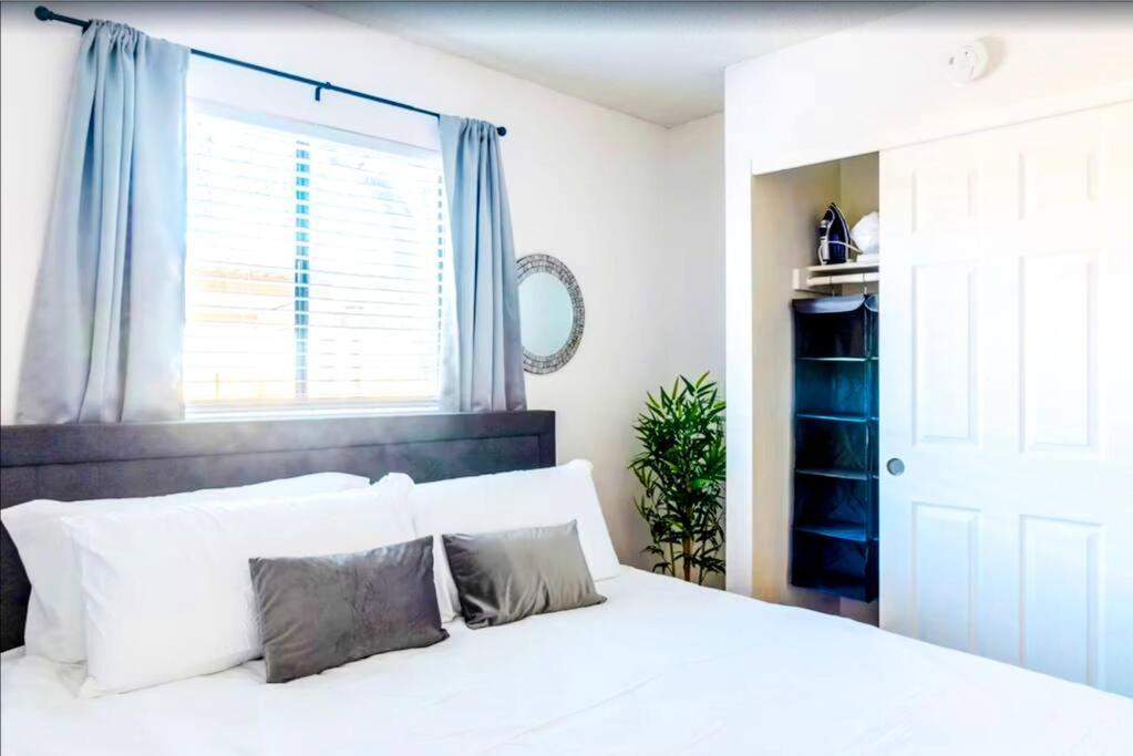 Bright & Cozy 1bd Near Uofa, Umc W Pool, Parking - Summer Rates! Apartment
