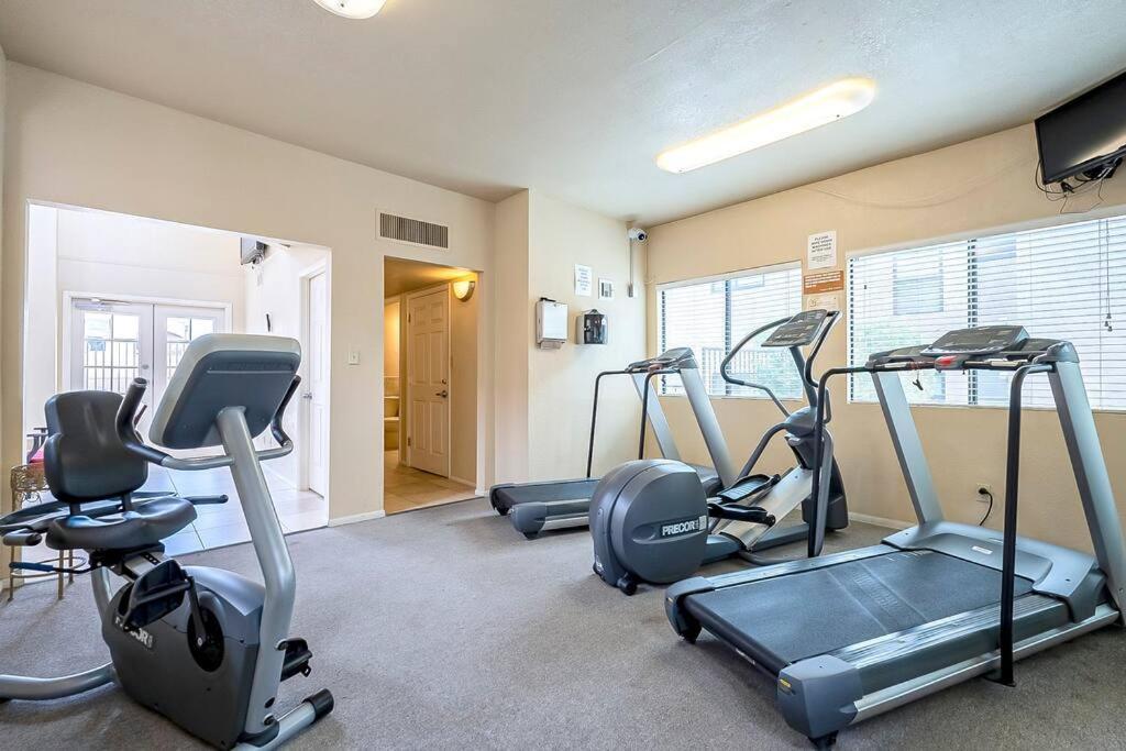 Bright & Cozy 1bd Near Uofa, Umc W Pool, Parking - Summer Rates! Apartment