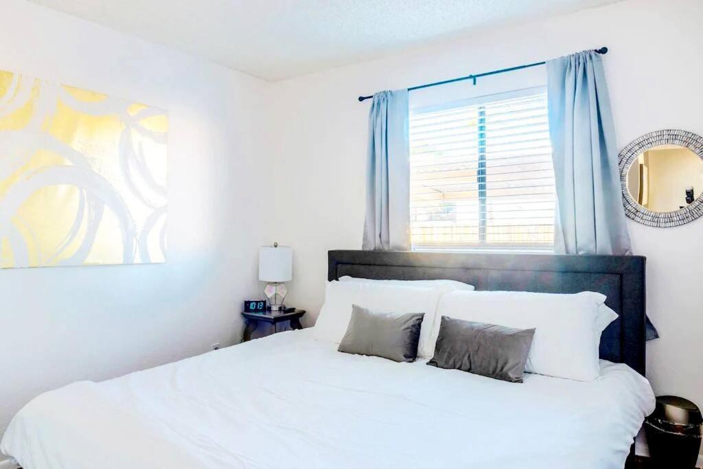 Bright & Cozy 1bd Near Uofa, Umc W Pool, Parking - Summer Rates! Apartment